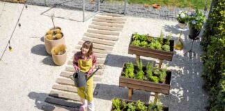 Wykorzystanie roślin do zapełnienia przerw w chodnikach, schodach i murach