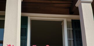 Jak wybrać najpiękniejsze odmiany surfinii na balkon